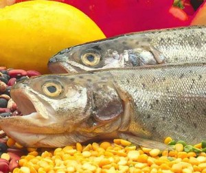 vitamin-b12-fitnesslines