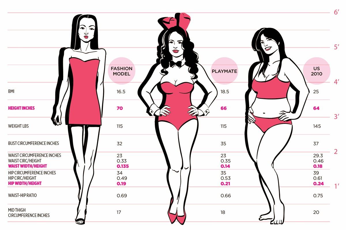 Ideal Body Measurements