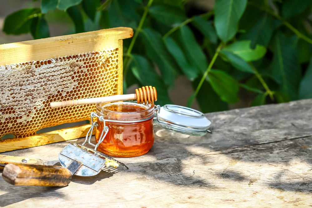 Beekeeping Processes